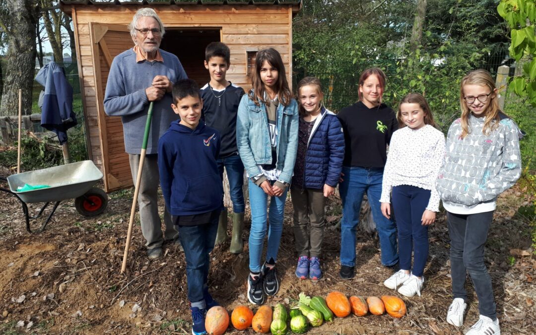 Légumes récoltés, cuisinés et dégustés