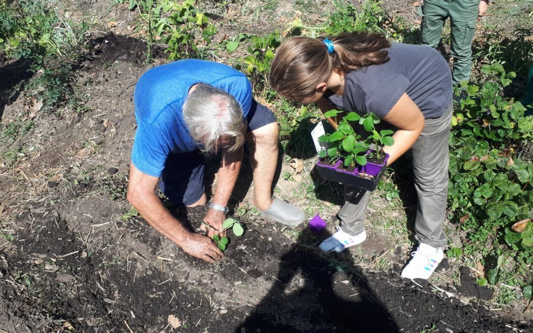 La rentrée au jardin