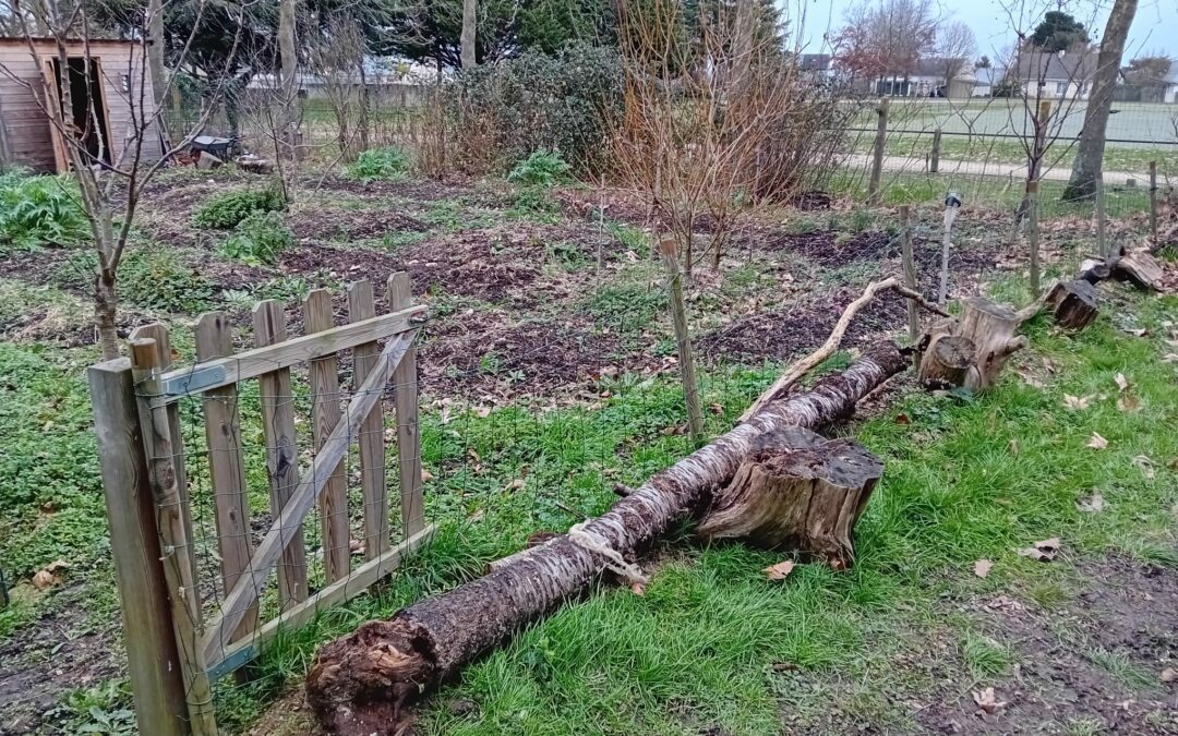 Quelques travaux avant noël